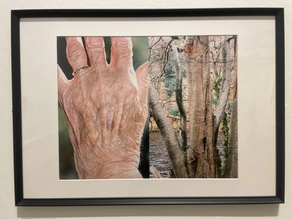 IMG_4825.JPG?type=w1