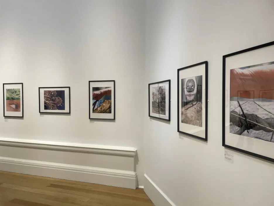 IMG_4837.JPG?type=w1