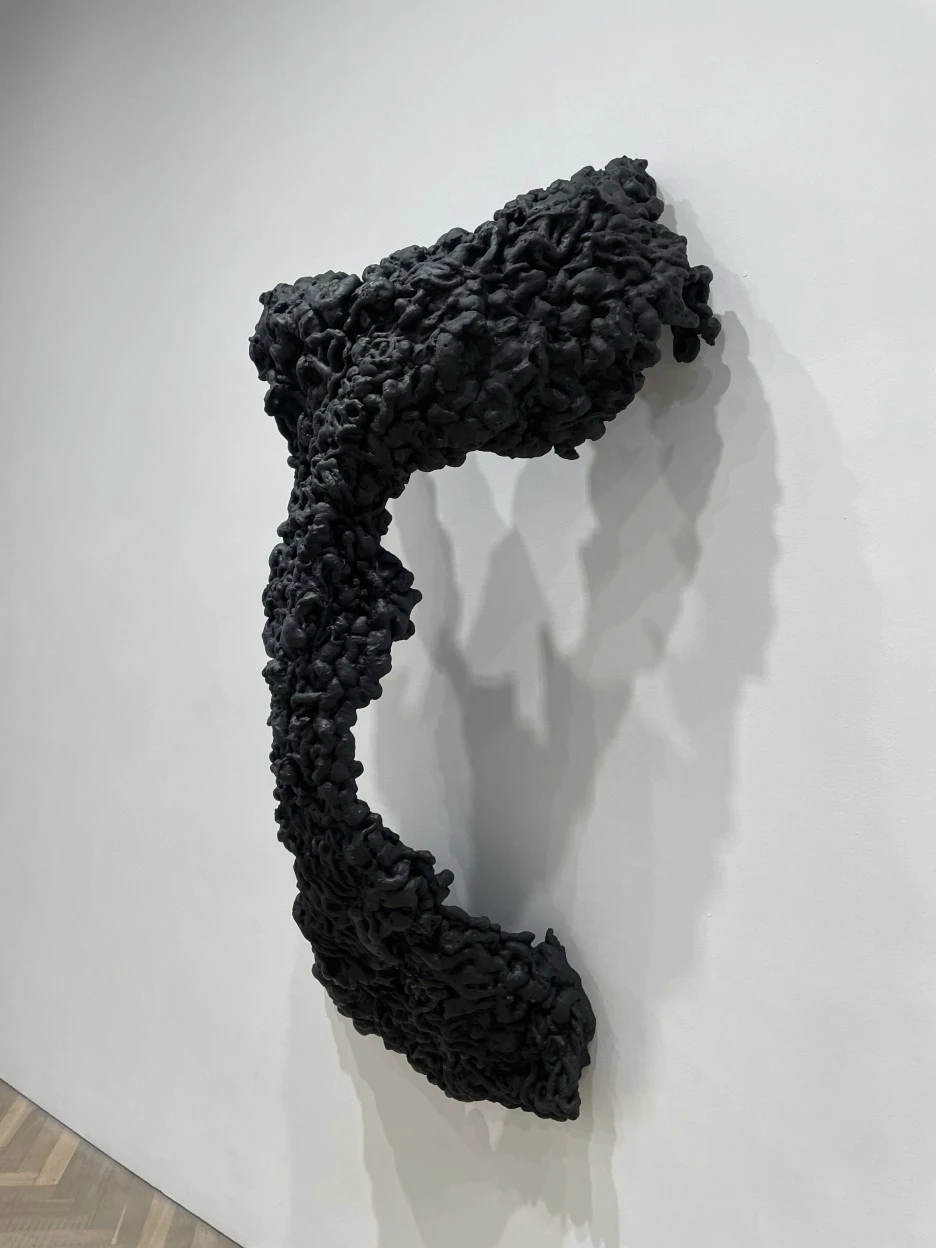 IMG_3295.JPG?type=w1