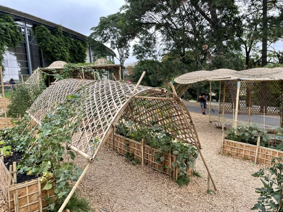 IMG_2304.jpg?type=w1