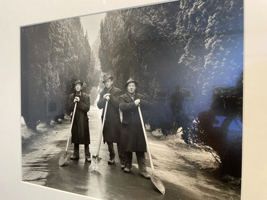 IMG_3223.JPG?type=w1