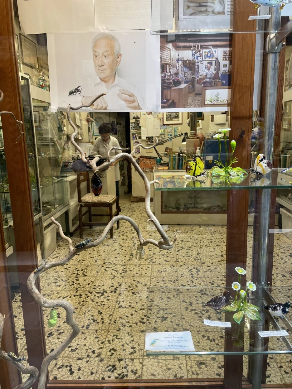 IMG_6060.jpg?type=w1