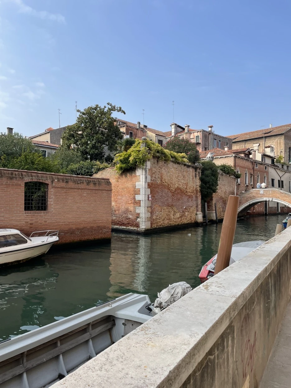 IMG_6155.jpg?type=w1