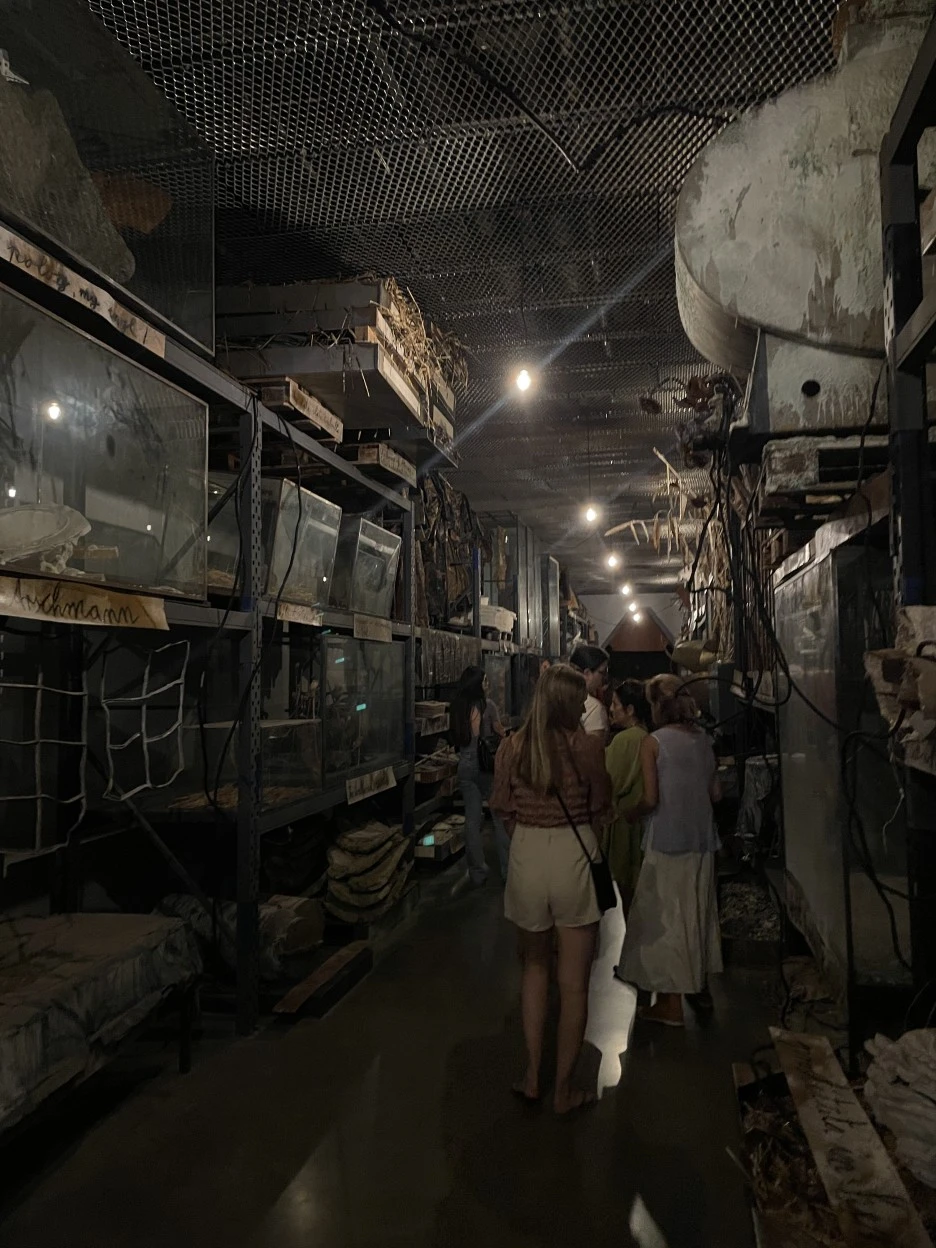 IMG_9946.JPG?type=w1