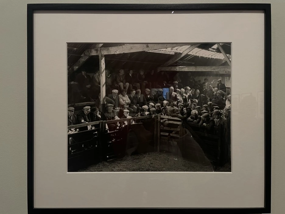 IMG_2479.jpg?type=w1