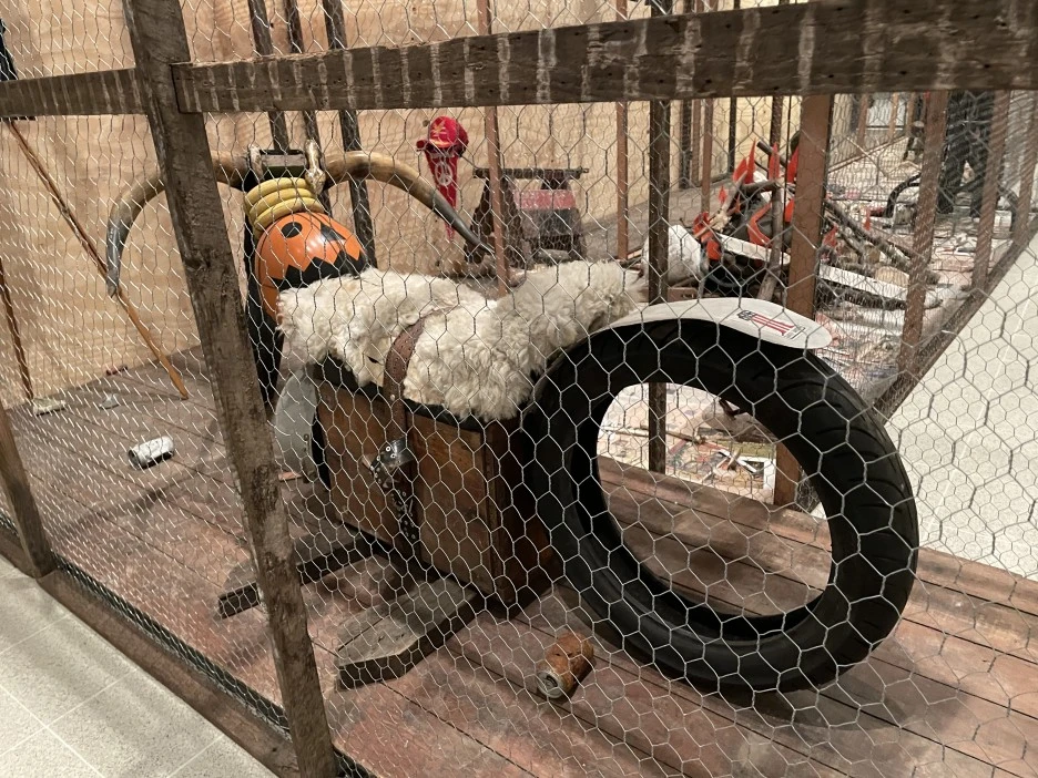 IMG_5811.JPG?type=w1