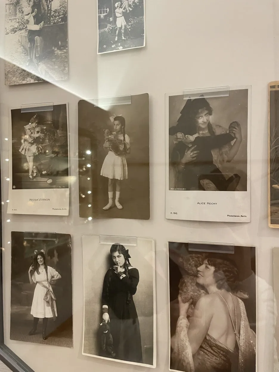 IMG_8324.JPG?type=w1