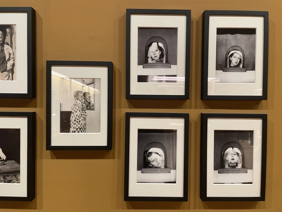 IMG_5335.jpg?type=w1