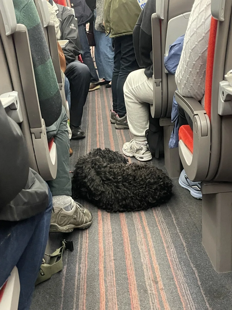 IMG_4715.JPG?type=w1