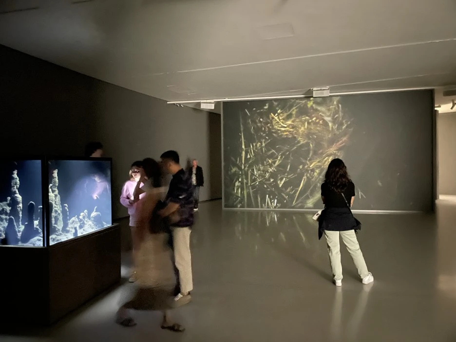 IMG_1145.JPG?type=w1