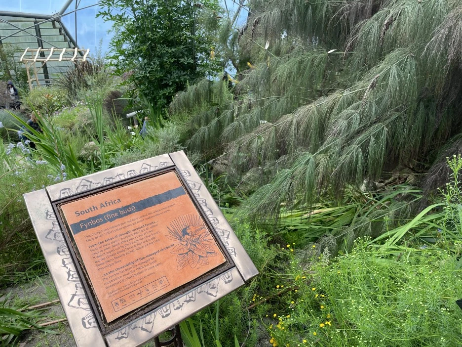 IMG_5334.JPG?type=w1