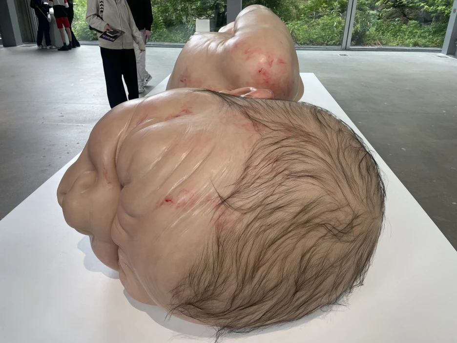 IMG_1069.JPG?type=w1