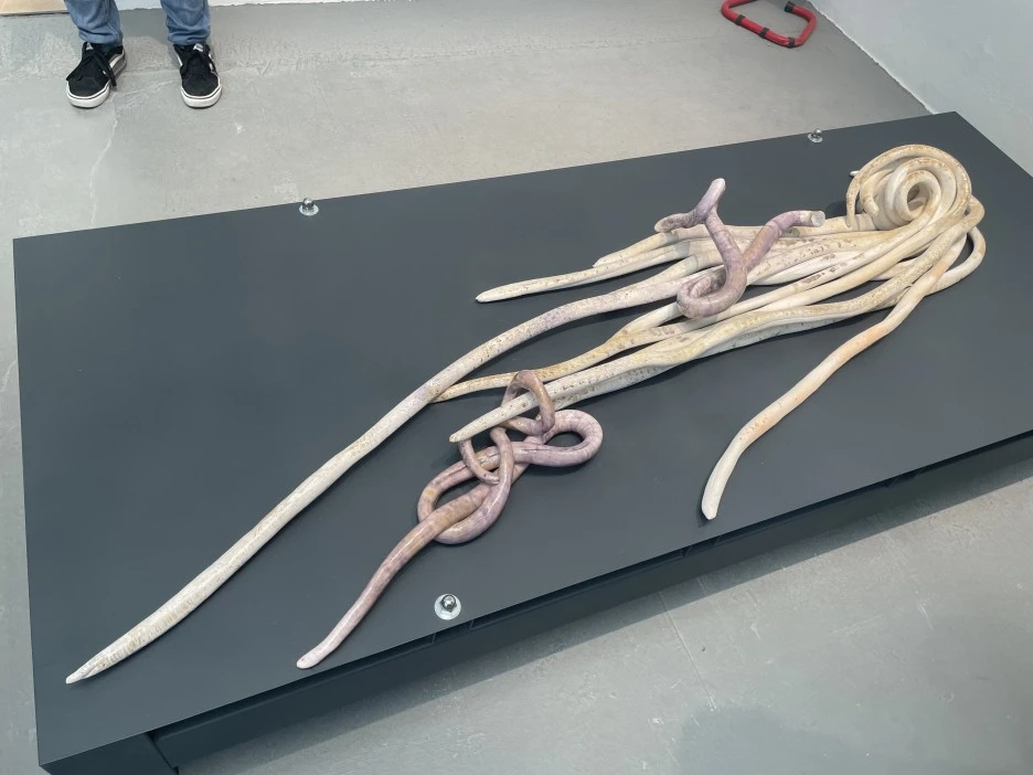 IMG_5315.jpg?type=w1