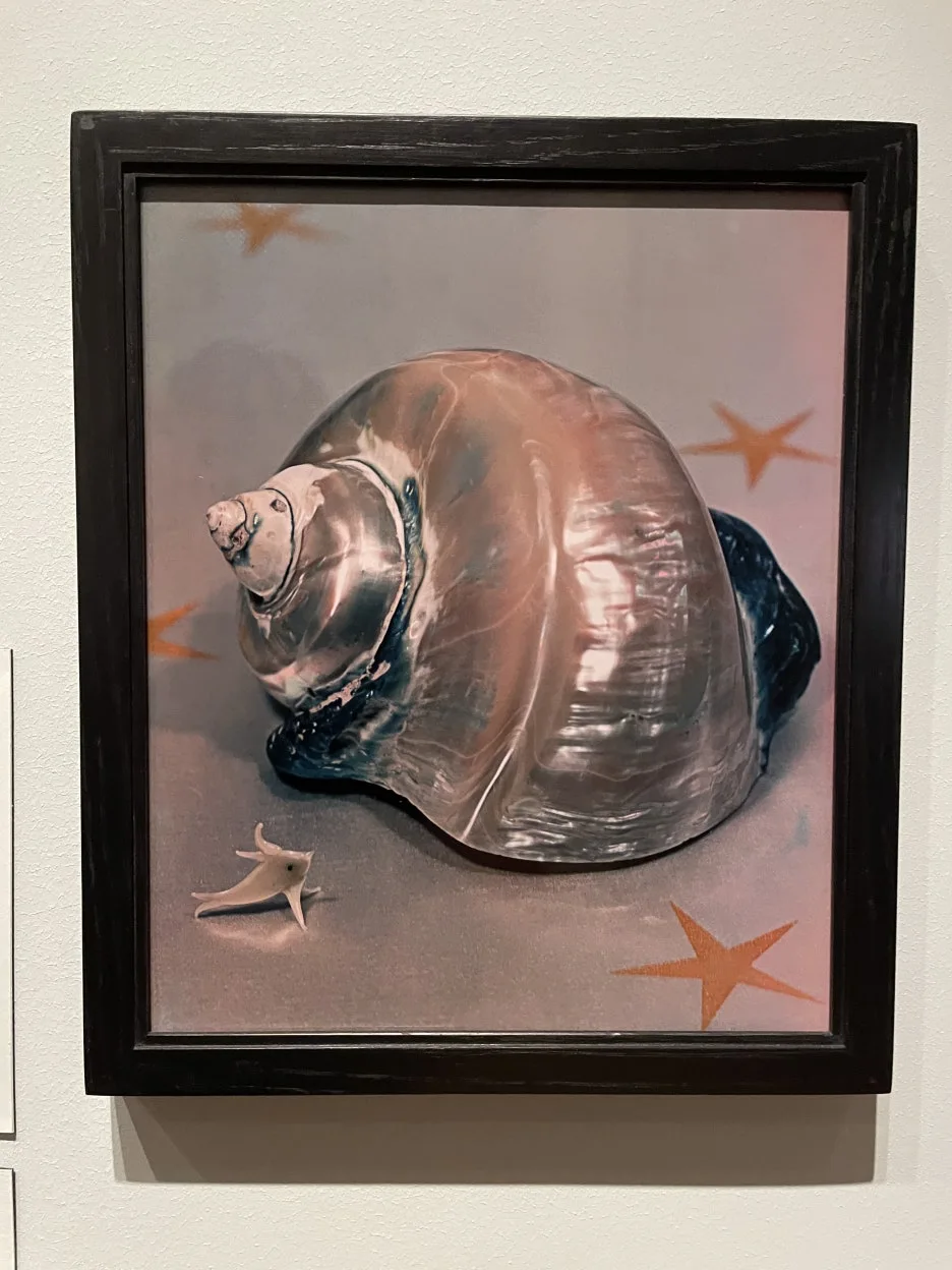 IMG_5070.JPG?type=w1