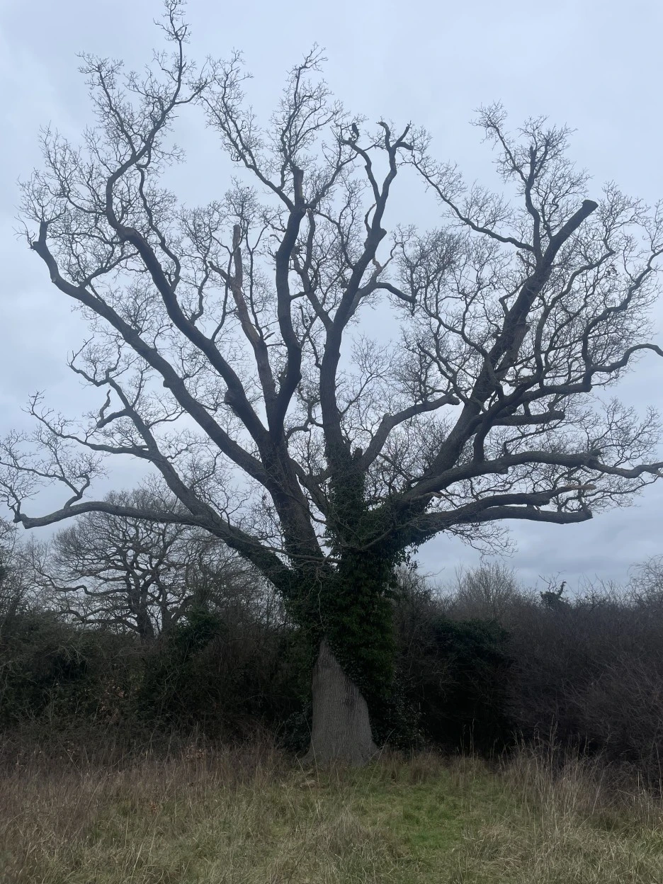 IMG_2173.jpg?type=w1