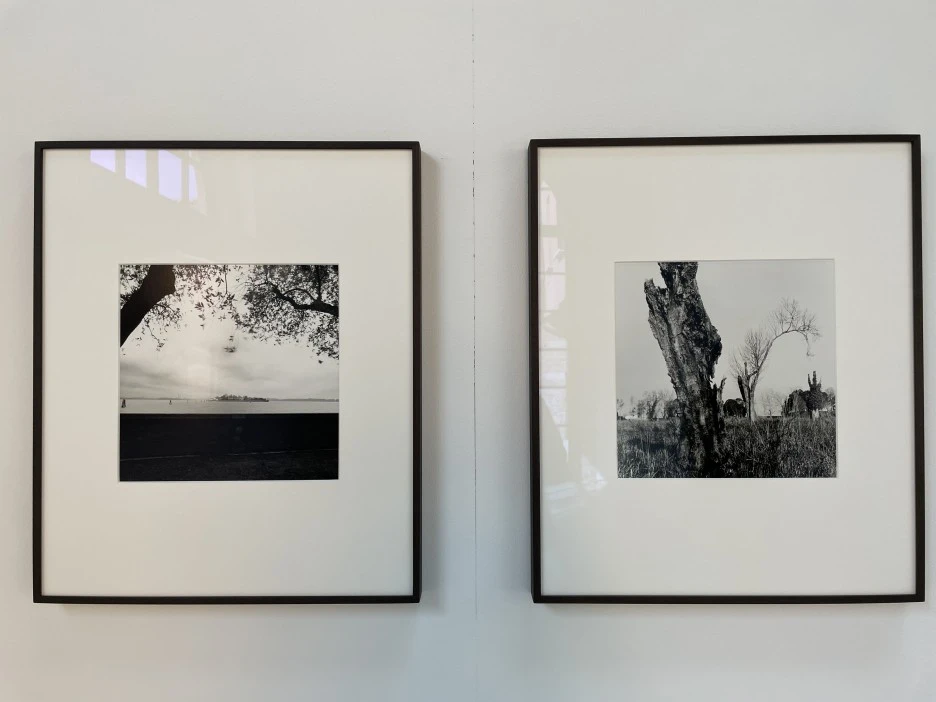 IMG_6256.jpg?type=w1