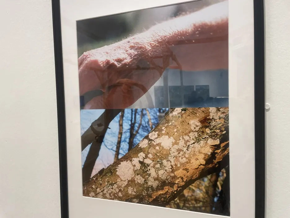 IMG_4833.JPG?type=w1