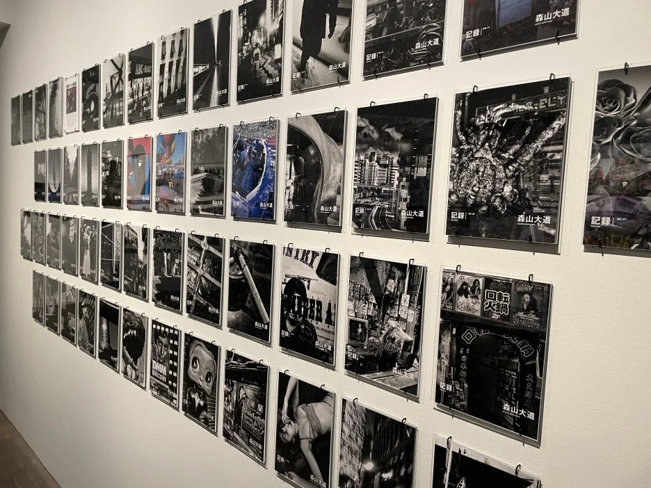 IMG_6850.JPG?type=w1