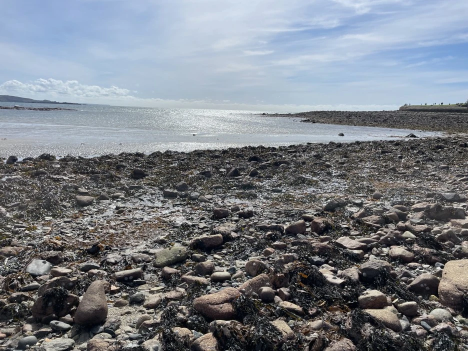 IMG_4204.JPG?type=w1