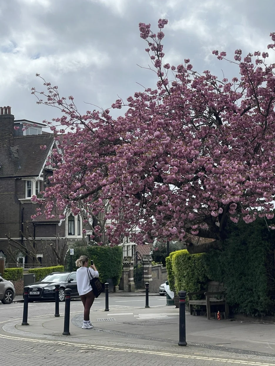 IMG_5032.JPG?type=w1