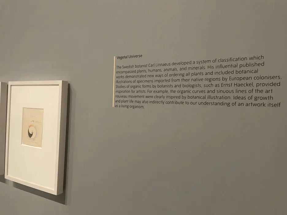 IMG_3108.JPG?type=w1