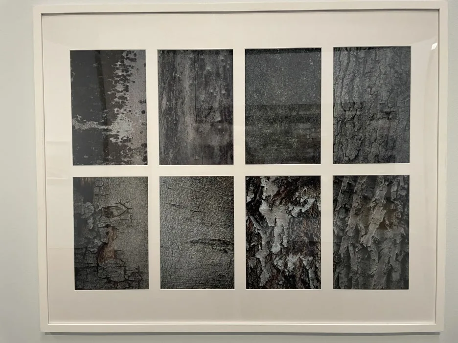 IMG_9083.JPG?type=w1