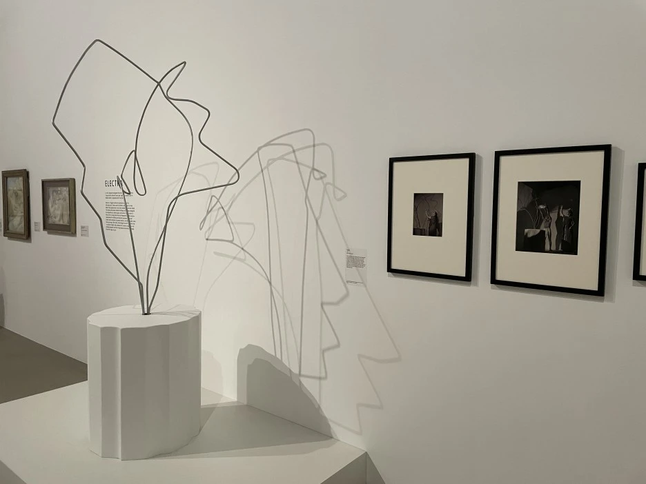 IMG_4445.JPG?type=w1