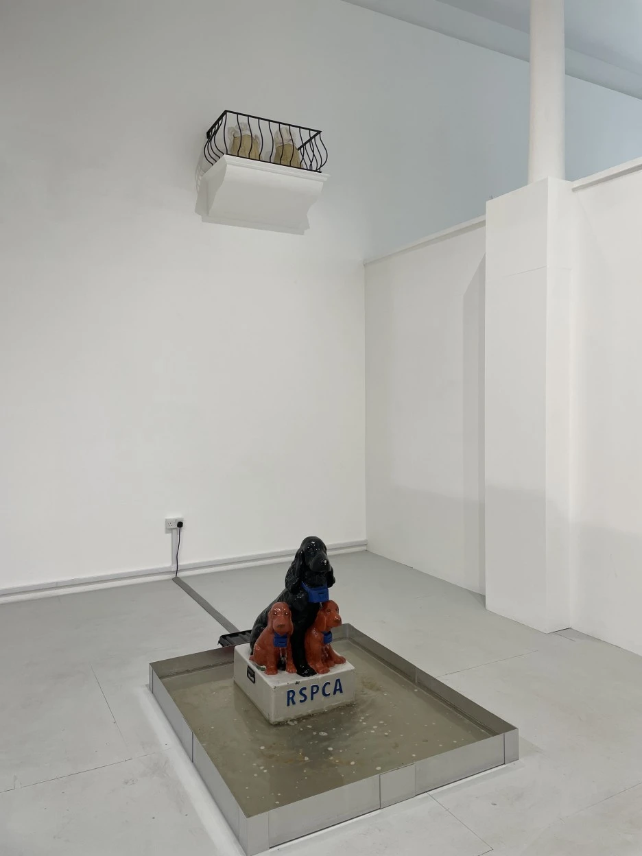 IMG_8708.JPG?type=w1