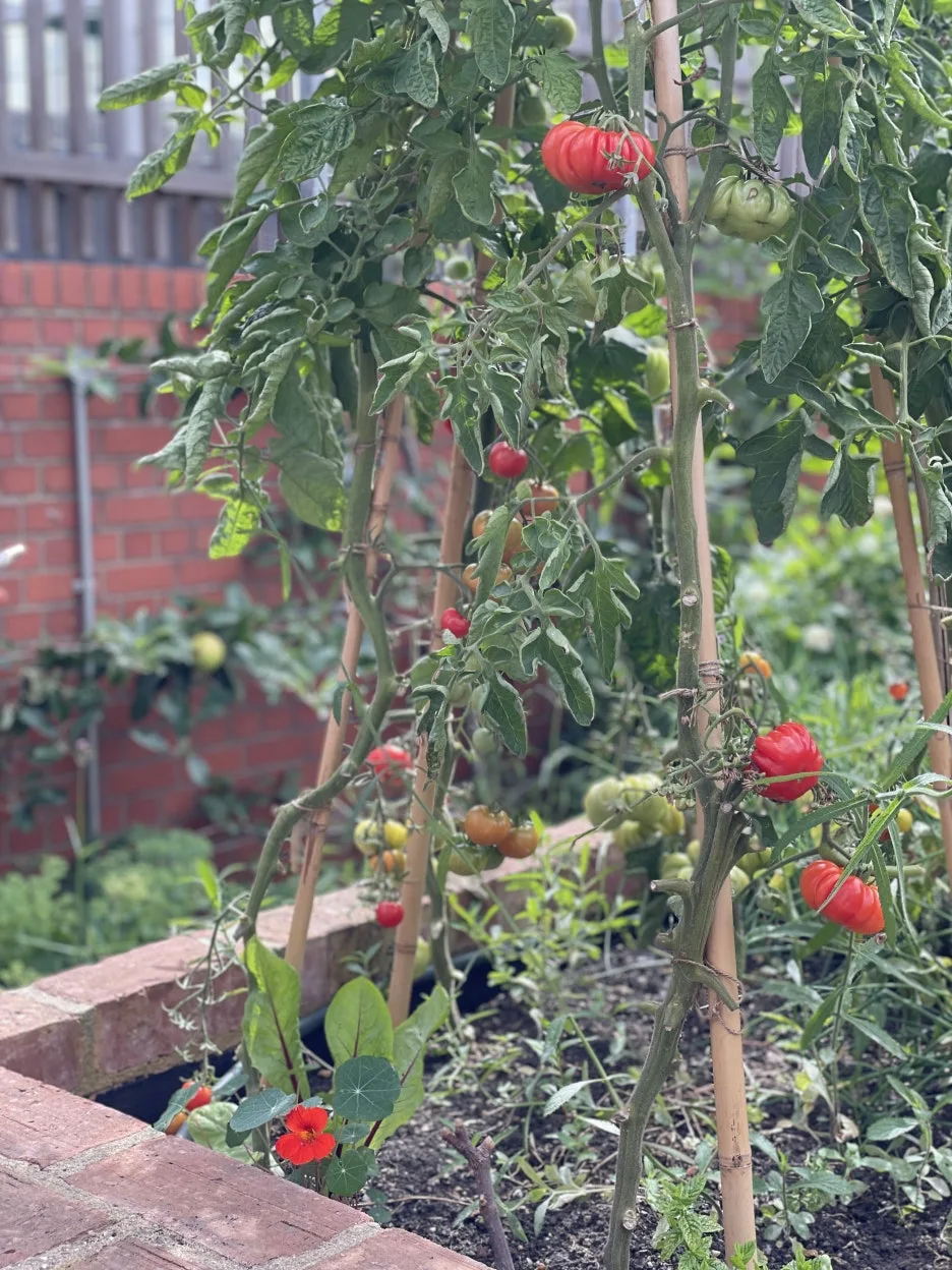 IMG_2560.jpg?type=w1