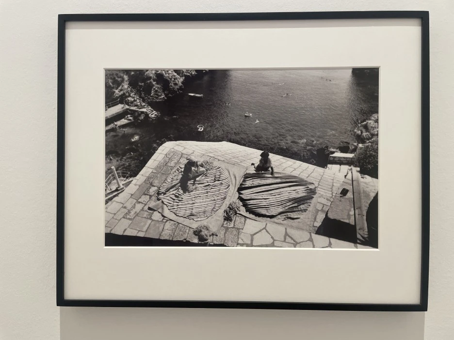 IMG_3382.JPG?type=w1