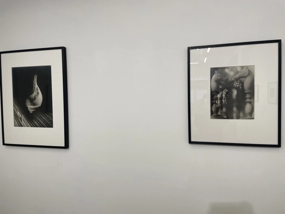 IMG_7776.JPG?type=w1