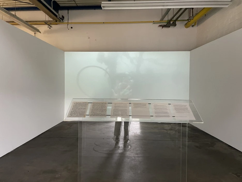 IMG_2391_2.jpg?type=w1