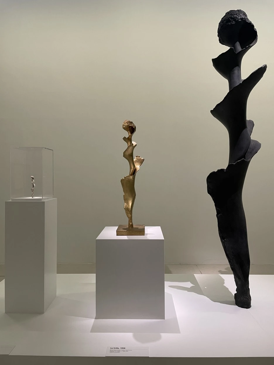 IMG_7075.JPG?type=w1