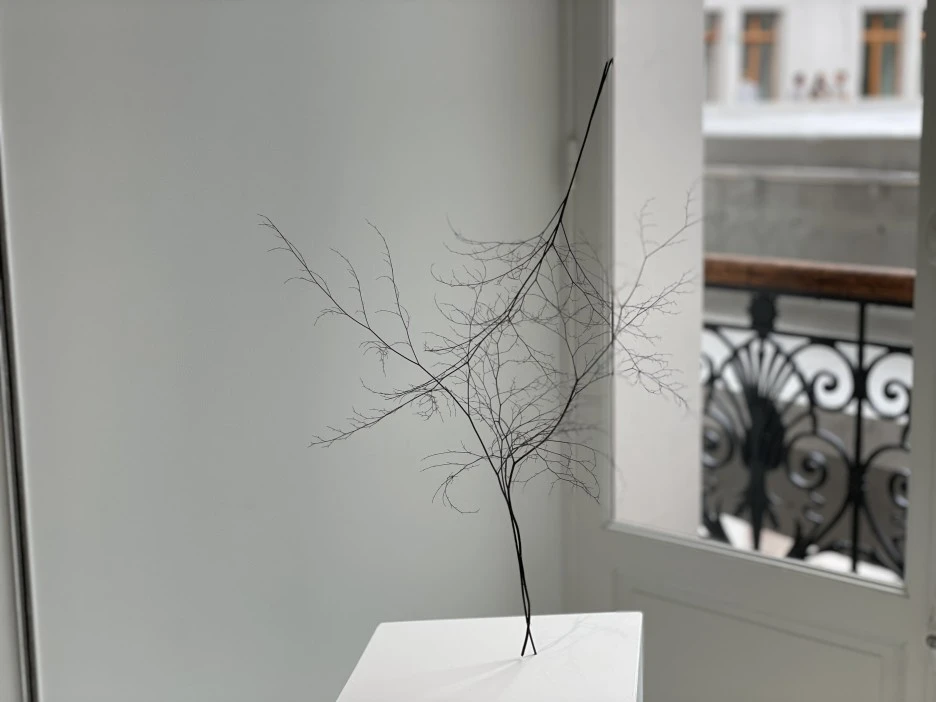 IMG_1179.jpg?type=w1