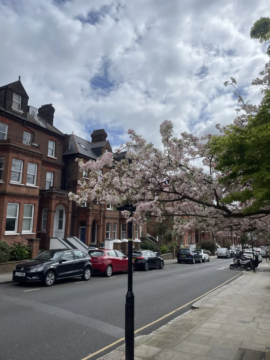 IMG_5031.JPG?type=w1