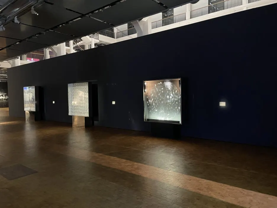 IMG_8916.JPG?type=w1