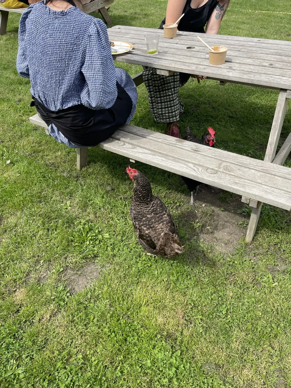 IMG_2576.JPG?type=w1