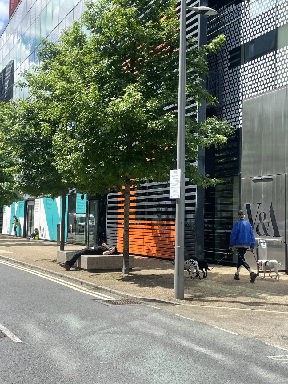 IMG_9376.JPG?type=w1