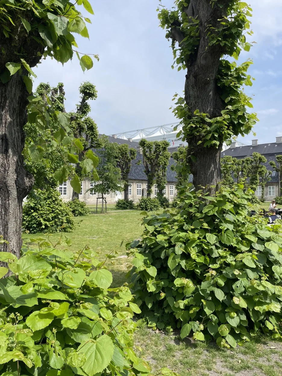 IMG_1757.JPG?type=w1