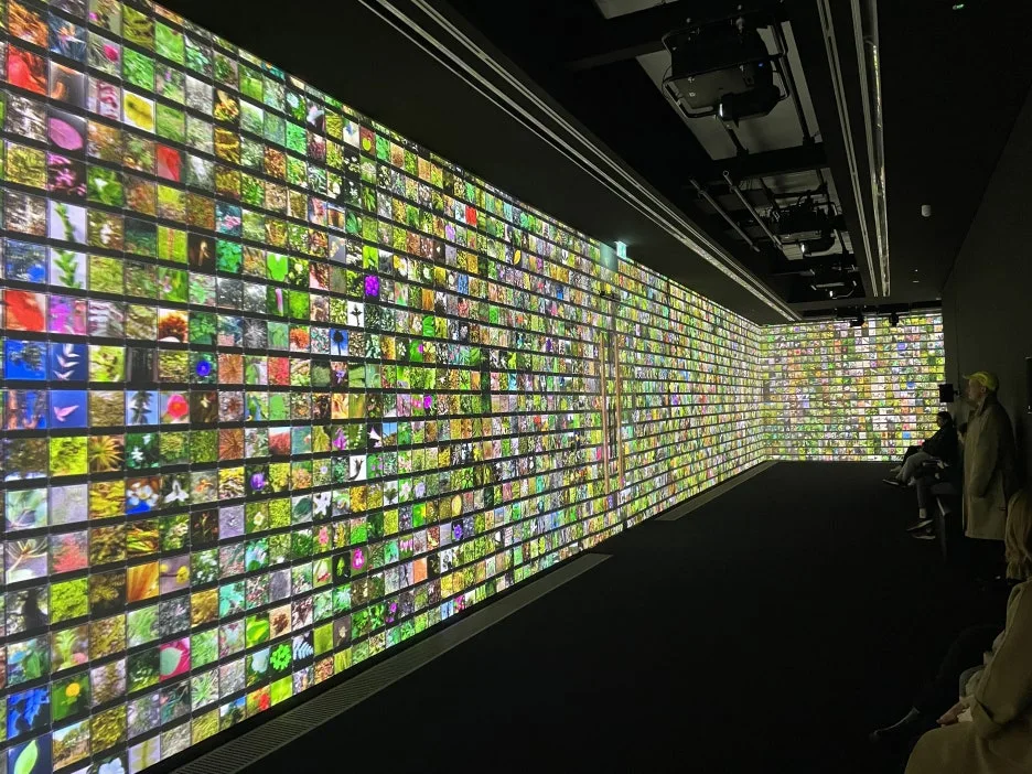 IMG_3008.JPG?type=w1