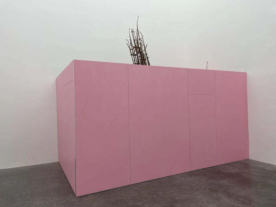 IMG_2442.jpg?type=w1