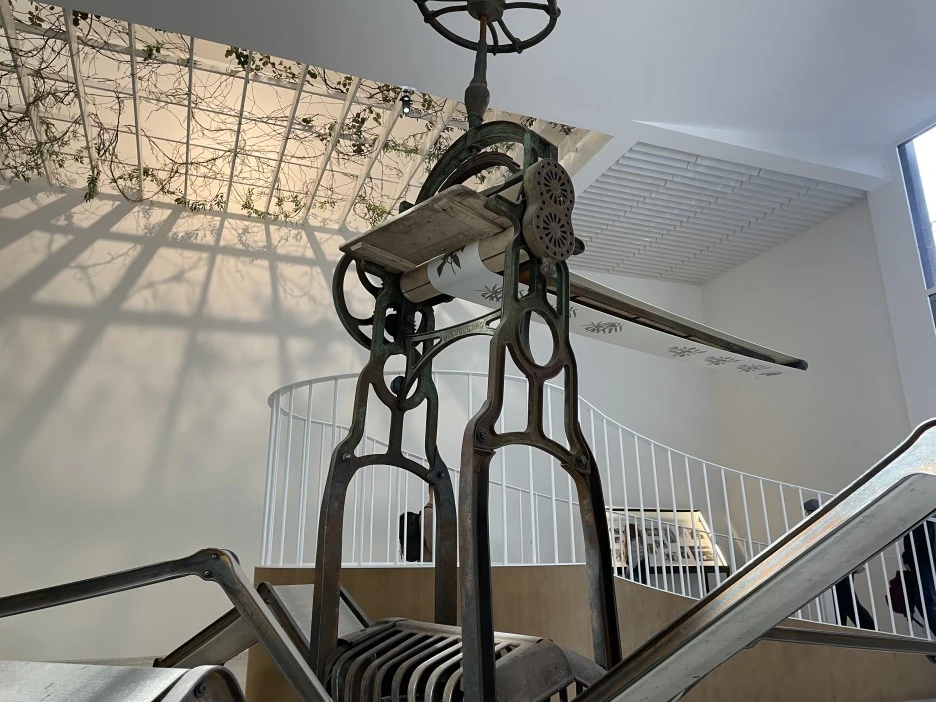 IMG_5623.jpg?type=w1