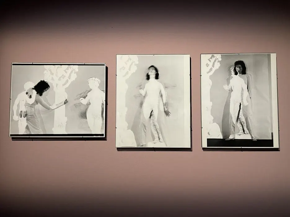 IMG_9010.JPG?type=w1