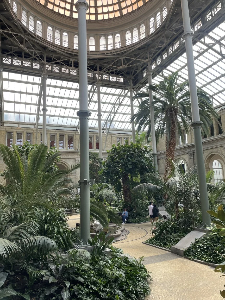 IMG_0803.JPG?type=w1