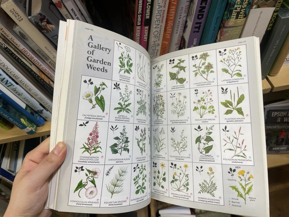 IMG_7847.jpg?type=w1