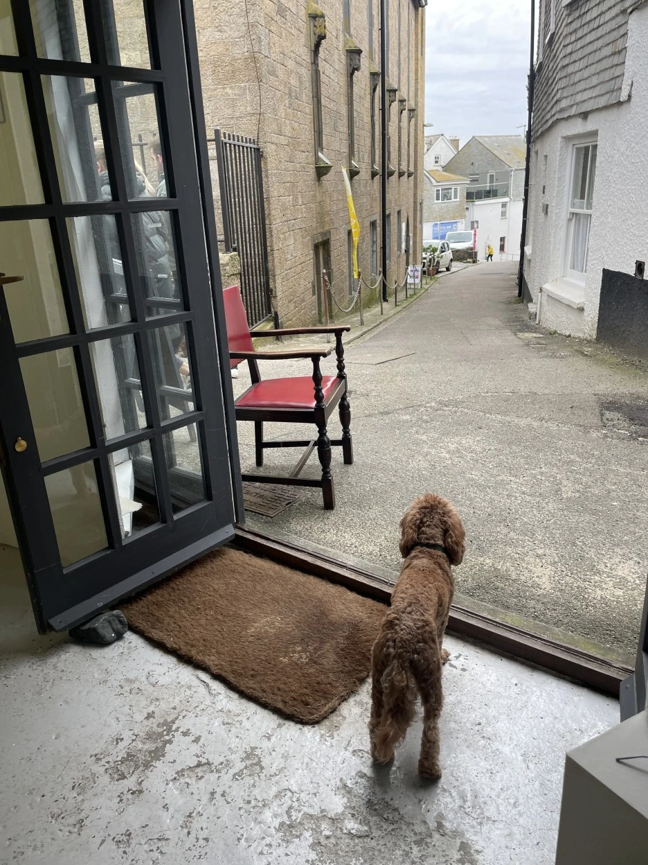 IMG_4915.JPG?type=w1