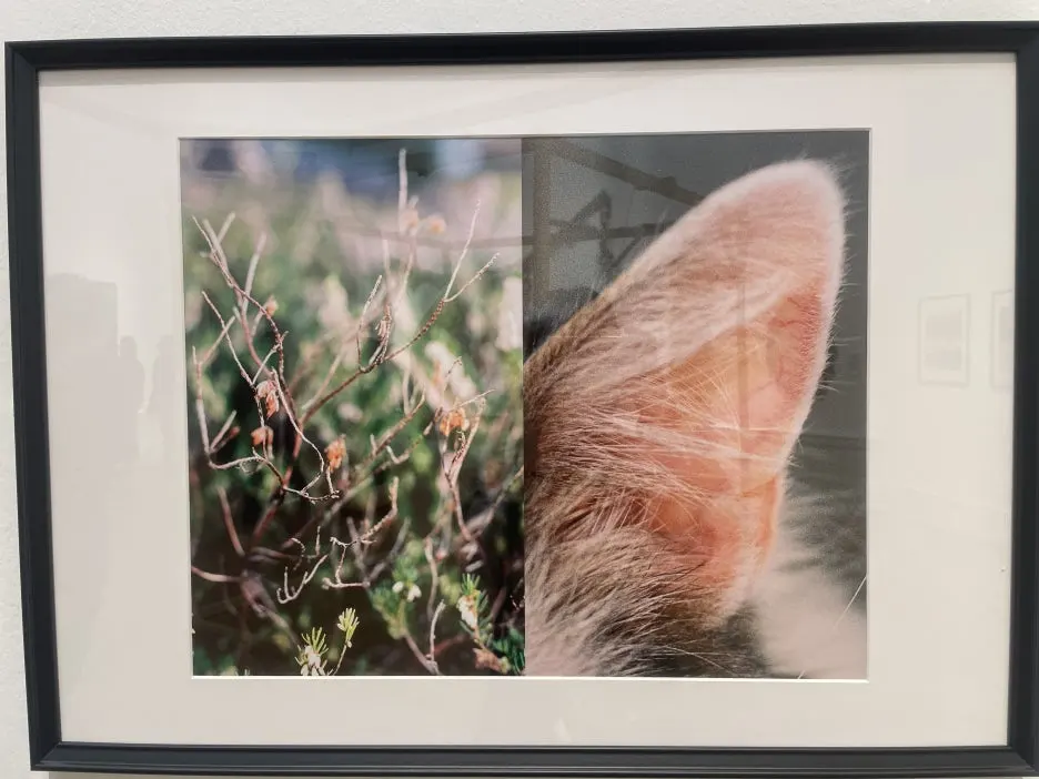 IMG_4827.JPG?type=w1