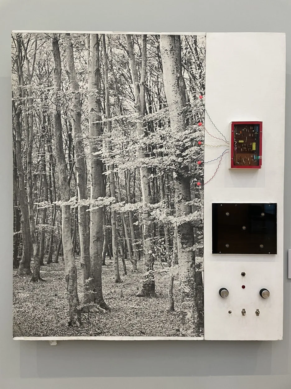 IMG_3409.JPG?type=w1