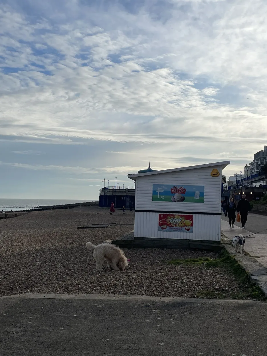 IMG_2821.JPG?type=w1