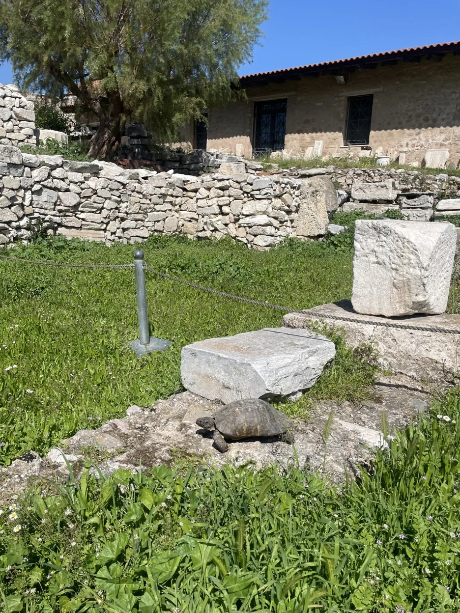 IMG_3293.JPG?type=w1